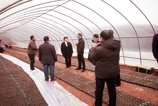 d44f13d852bf722c0f7577612dc3587