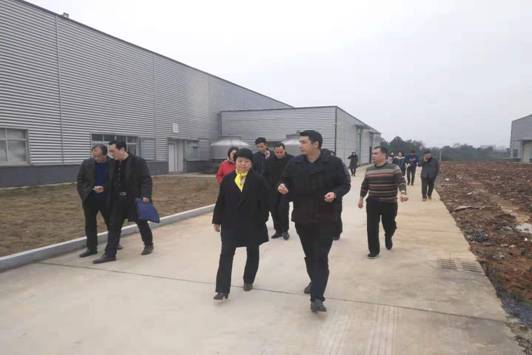 9620a95c4db78982a8e33fed7e5a426