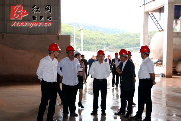 贺辉深入新田督查督办环保信访交办件整改落实情况