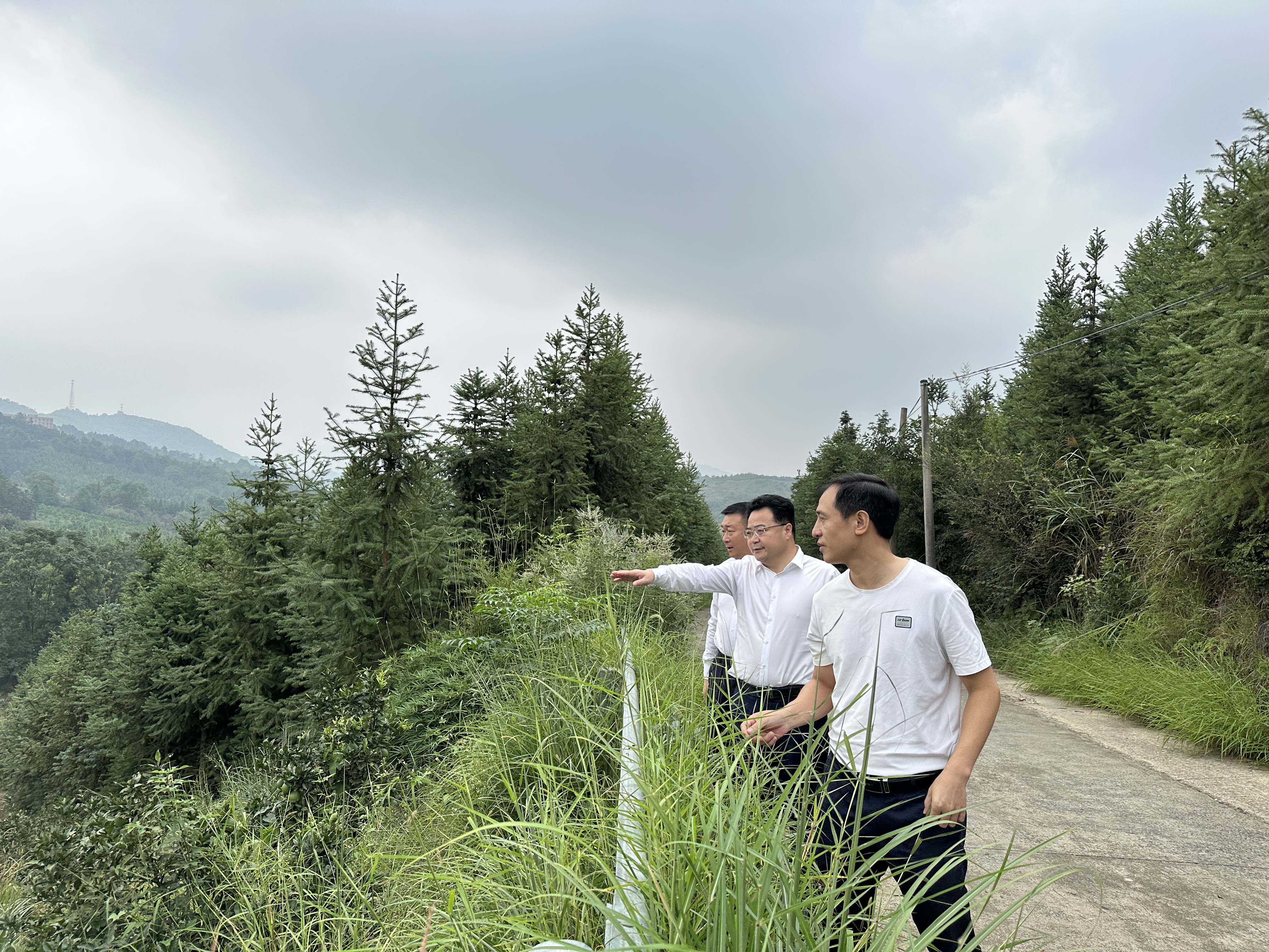 微信图片_20230930172653.jpg 微信图片_20230930172653.jpg