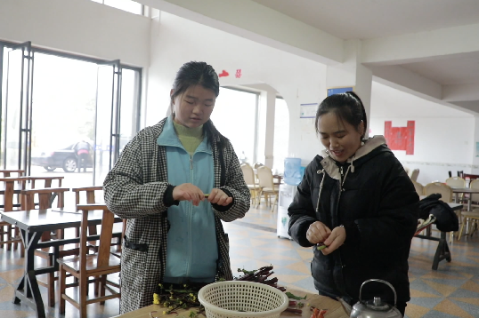 微信图片_20241225093101.png 微信图片_20241225093101.png