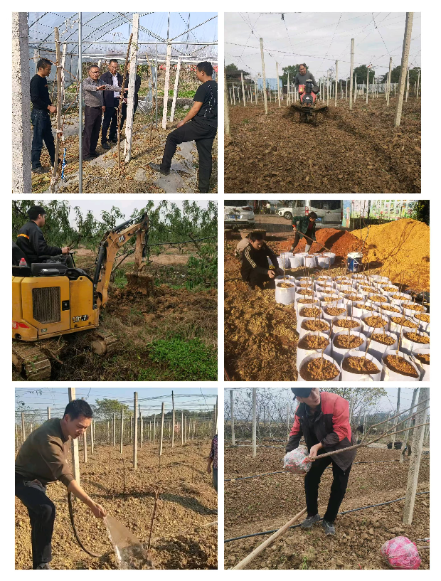 图片1.png 图片1.png