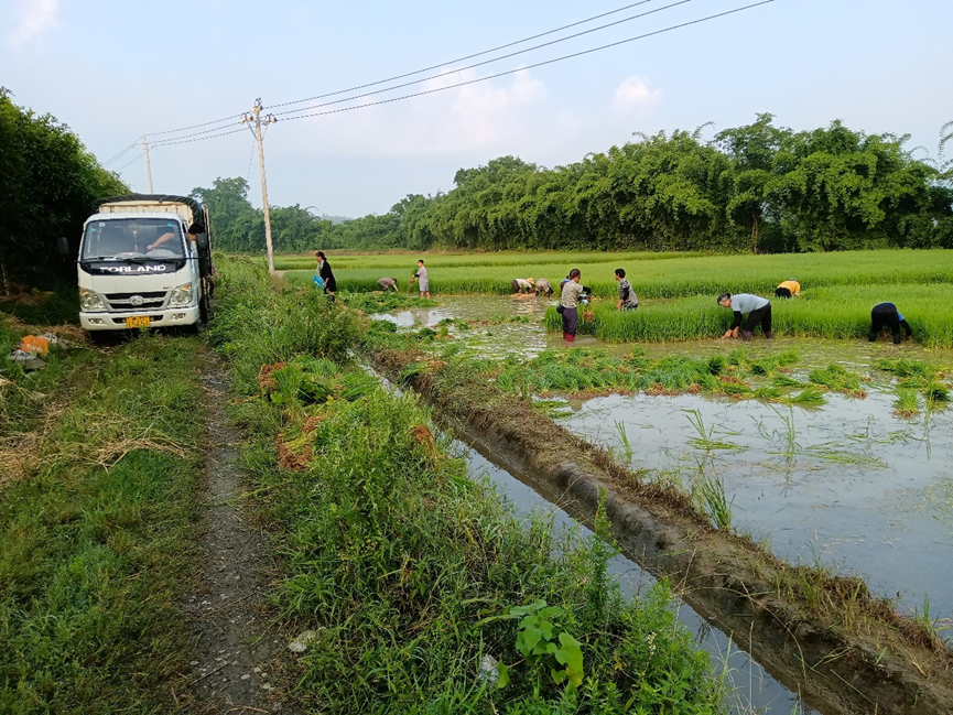 图片1.png 图片1.png