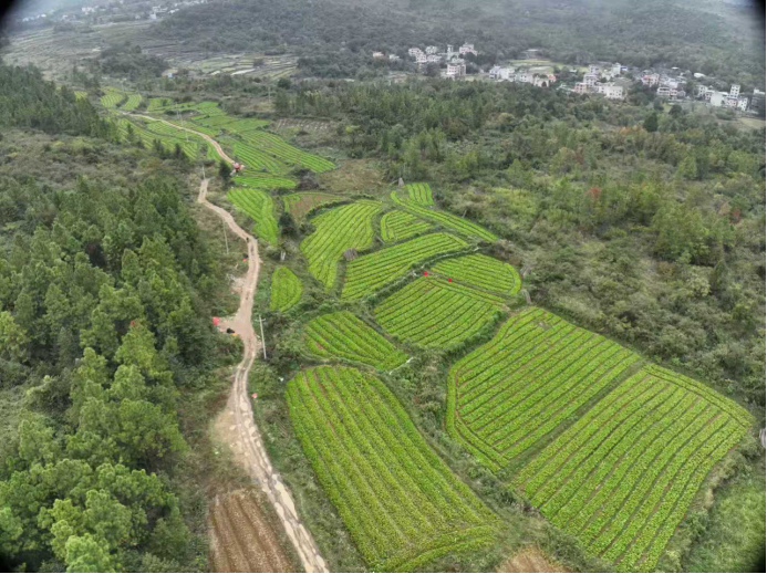 微信图片_20251119083920_732_6.png 微信图片_20251119083920_732_6.png