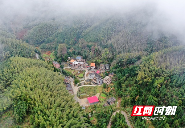 DJI_0611.JPG