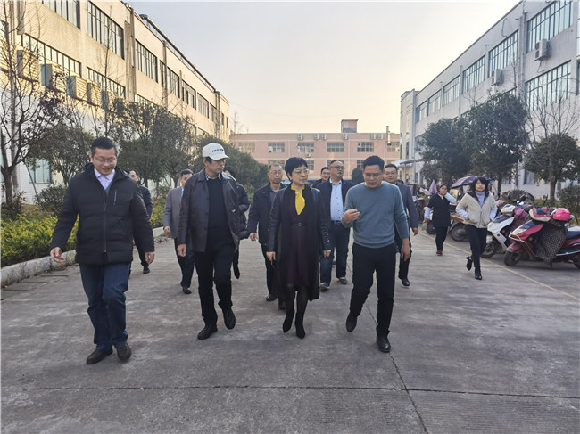 0115省工信厅副厅长彭涛一行来道县调研01.jpg