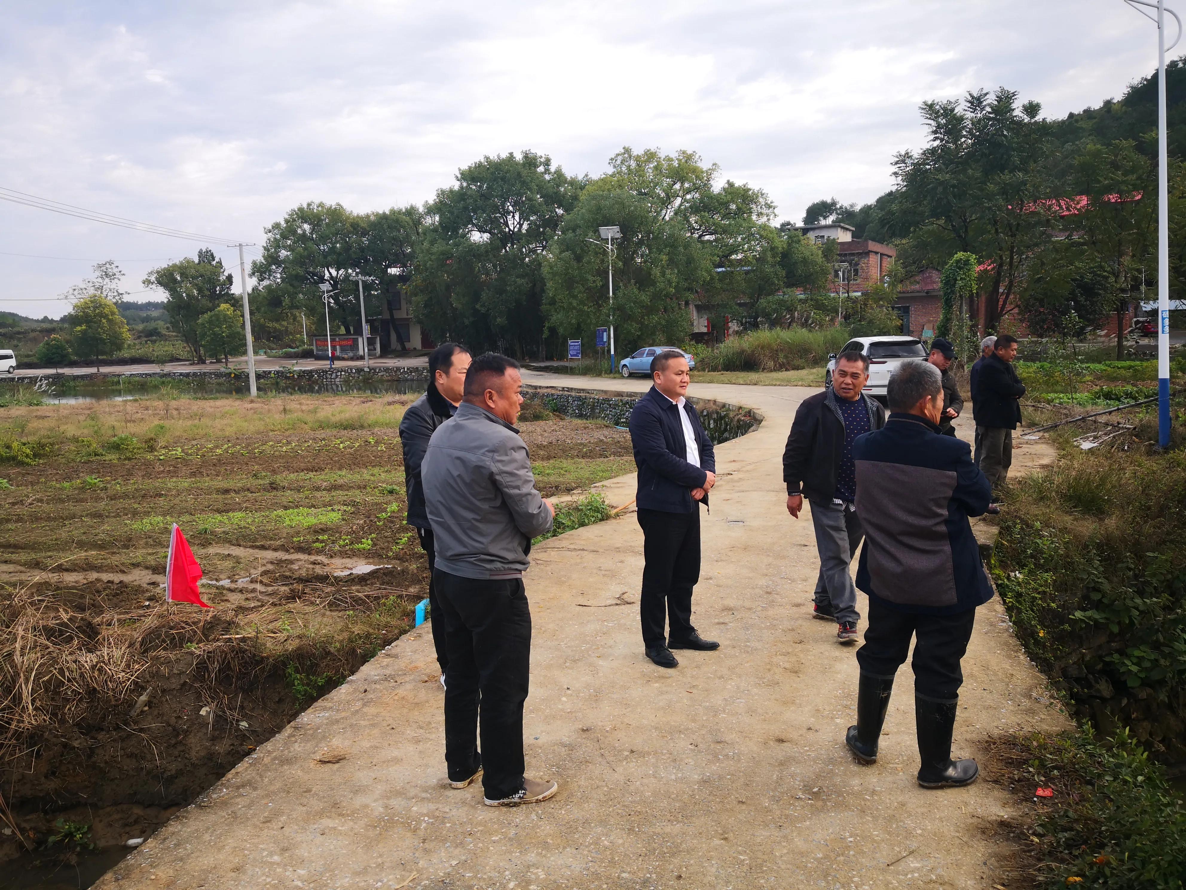 道县农业农村局高标准农田建设抓进度促生产