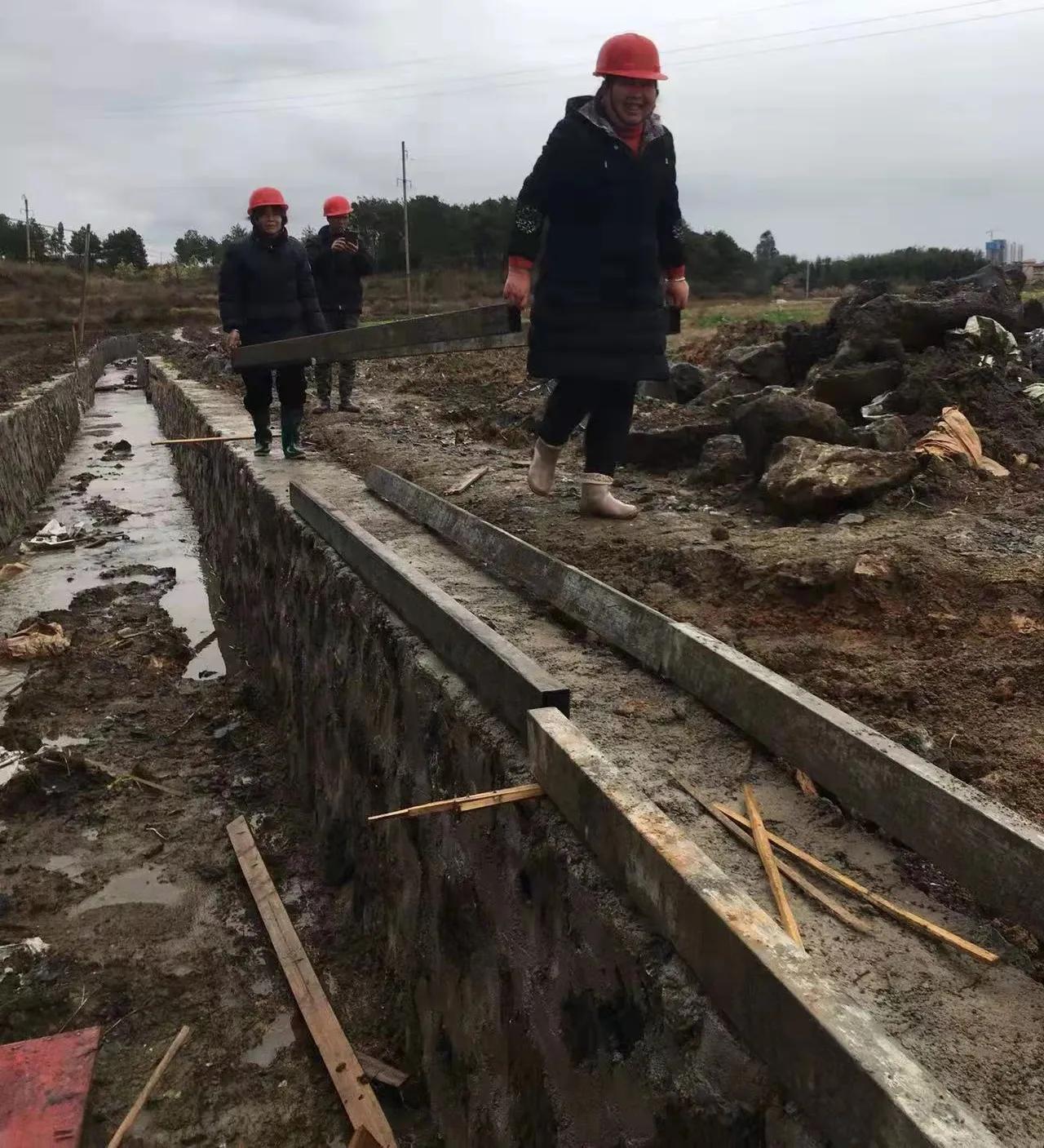 永州市农业农村局调研道县高标准农田建设复工情况