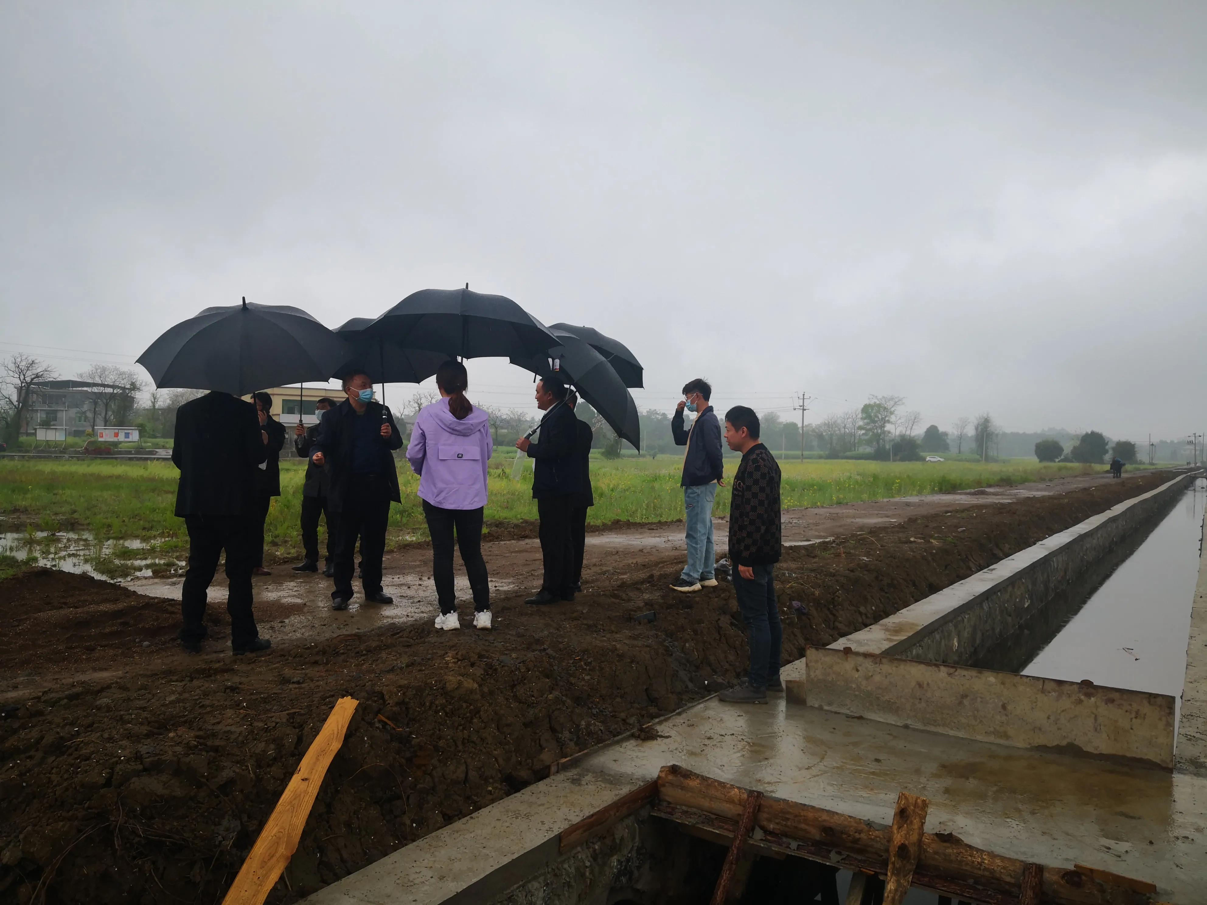 市领导督查道县2021年度高标准农田建设项目