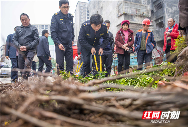 2022年3月1日,湖南省永州市道县一种苗销售市场,农业执法人员在检查种苗。 (2)_副本.jpg