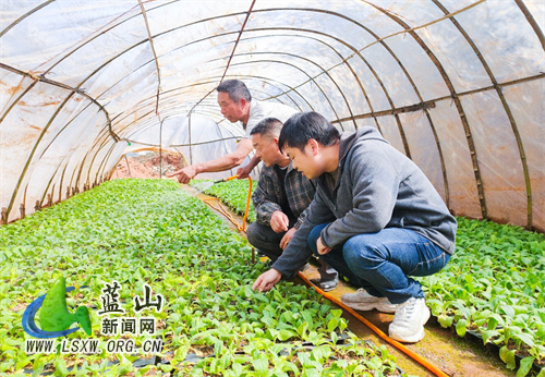 1bb79a17973c591206fca9d6ffc4d2a1.jpg 1bb79a17973c591206fca9d6ffc4d2a1.jpg