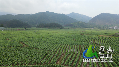 微信图片_202305161538342.jpg 微信图片_202305161538342.jpg