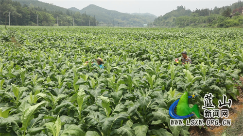 微信图片_20230516153834.jpg 微信图片_20230516153834.jpg