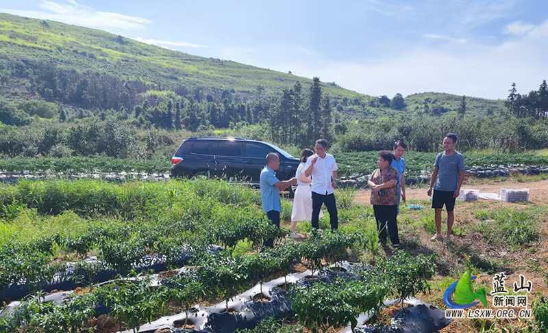 蓝山县纪委监委：深入田间地头助力乡村振兴.jpg