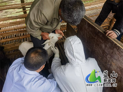 2d33dd0c90bcdcc5faf1acb942a23c77.jpg 2d33dd0c90bcdcc5faf1acb942a23c77.jpg