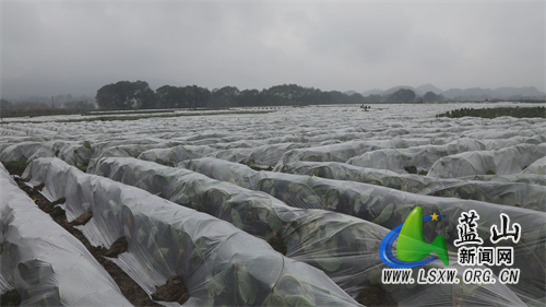 微信图片_202211301629112.jpg 微信图片_202211301629112.jpg