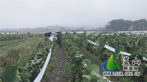 微信图片_20221130162911.jpg 微信图片_20221130162911.jpg