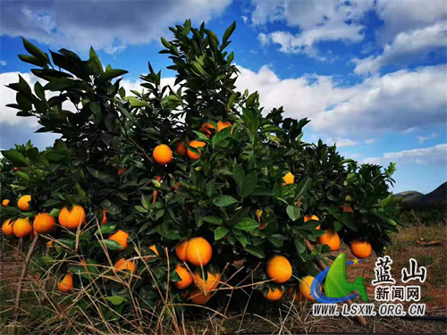 d61db409ba37f1f834041dd8130fc458.jpg d61db409ba37f1f834041dd8130fc458.jpg