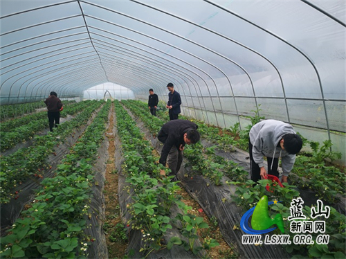 40b8928e031e24a3f569563822b74387.jpg 40b8928e031e24a3f569563822b74387.jpg