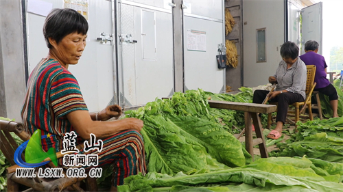 微信图片_20230614113944.jpg 微信图片_20230614113944.jpg