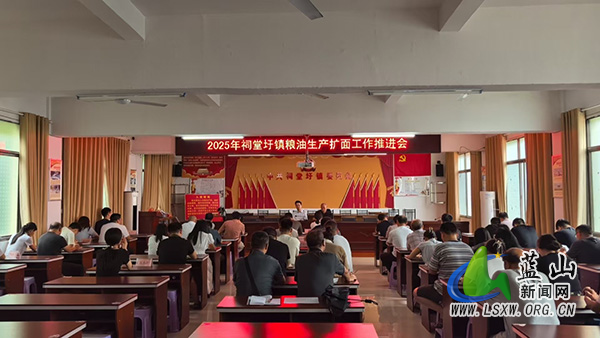 祠堂圩镇召开2025年粮油生产扩面工作推进会.jpg