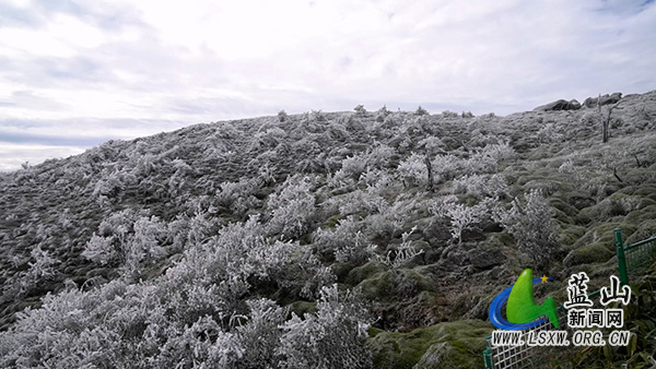 蓝山县云冰山：迎来今冬首场冰挂美景1.jpg
