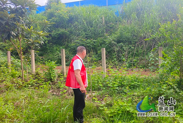 祠堂圩镇栗木村积极开展“禁种铲毒”踏查工作.jpg