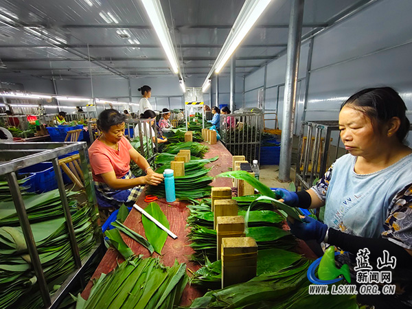 蓝山：就业帮扶车间让群众赚钱顾家两不误.jpg