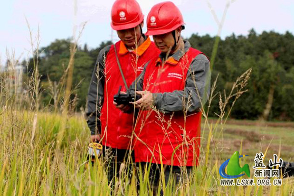 国网蓝山县供电公司：护航秋收保供电 赋能乡村振兴.jpg