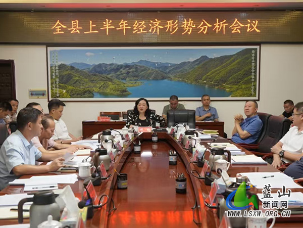 全县上半年经济形势分析会议召开.jpg