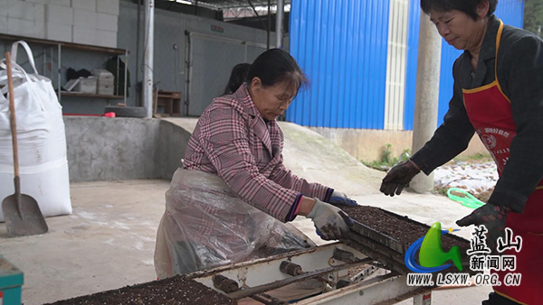 我县各地育秧工厂“马力足” 不负农时不负春2.jpg 我县各地育秧工厂“马力足” 不负农时不负春2.jpg