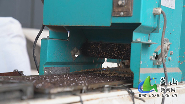 我县各地育秧工厂“马力足” 不负农时不负春1.jpg 我县各地育秧工厂“马力足” 不负农时不负春1.jpg