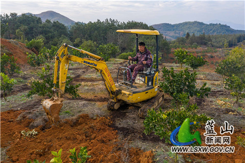 DJI_0373.jpg DJI_0373.jpg