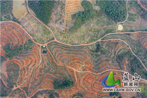 DJI_0367.jpg DJI_0367.jpg