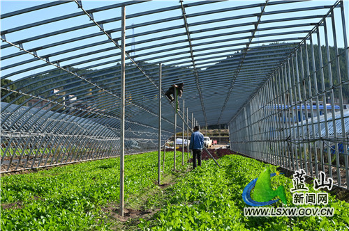 12月1日，蓝山县塔峰镇六七甲村沙邦智慧农业蔬菜生产基地，施工人员利用冬闲时间进行蔬菜大棚的改建和扩建，以利于更好地进行大棚蔬菜规模化种植。
近年来，该县利用“楚尾粤头”的区位优势和“湘江源头”的生态优势，大力发展蔬菜规模化种植，确保粤港澳大湾区蔬菜供应基地。当地农民也以土地流转和就近就业等形式从中受益。