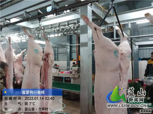 proxy - 2022-01-17T150806.937.jpg proxy - 2022-01-17T150806.937.jpg