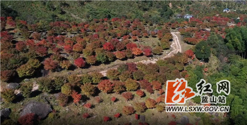 微信图片_20211122174254.jpg 微信图片_20211122174254.jpg