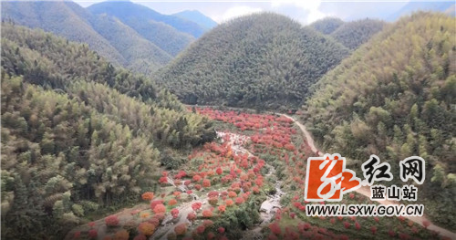 微信图片_20211122174257.jpg 微信图片_20211122174257.jpg