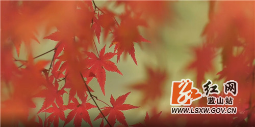 微信图片_20211122174247.jpg 微信图片_20211122174247.jpg