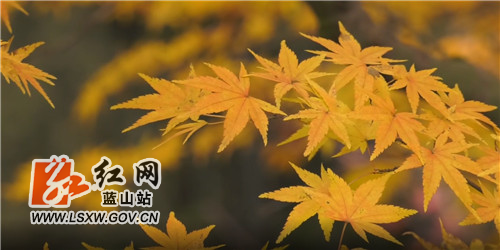 微信图片_20211122174250.jpg 微信图片_20211122174250.jpg