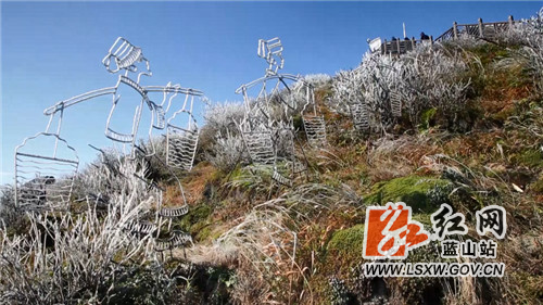 受连日降温降雨和大风影响，近日，蓝山县云冰山旅游景区出现入冬以来首场雪凇冰挂景观。云冰山地处湖南与广东交界的风口地带，每年这个时候，海拔1400多米的西峰岭就会被冰雪覆盖，山上的岩石和护栏、树梢上凝结成壮观的雪淞、冰挂，晶莹剔透、美不胜收；从高空俯瞰，半山腰都是翠白相间，一派银装素裹、满树银花的冬日美景，吸引了众多省内外游客上山看雪，感受南方雪乡和自驾游乐趣。