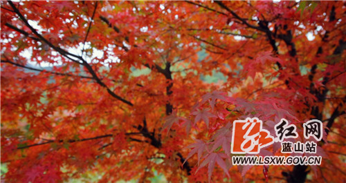 微信图片_20211105164527.jpg 微信图片_20211105164527.jpg