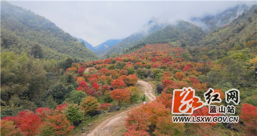 微信图片_20211105164530.jpg 微信图片_20211105164530.jpg