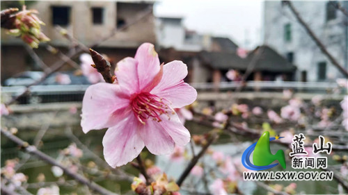 微信图片_20220104165537.jpg 微信图片_20220104165537.jpg