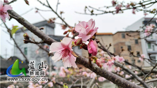 微信图片_20220104165528.jpg 微信图片_20220104165528.jpg