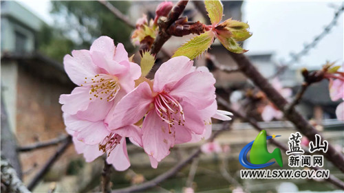 微信图片_20220104165535.jpg 微信图片_20220104165535.jpg