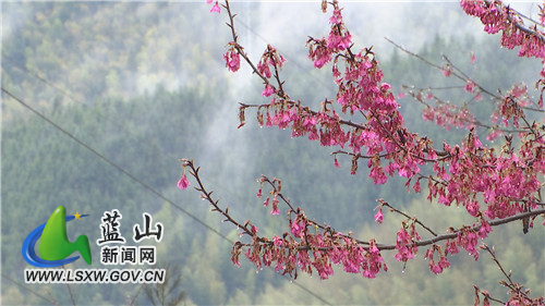 微信图片_20220128172216.jpg 微信图片_20220128172216.jpg