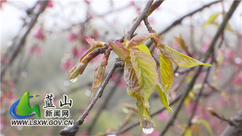 微信图片_20220128172214.jpg 微信图片_20220128172214.jpg