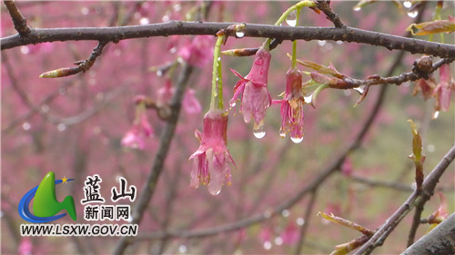 微信图片_20220128172219.jpg 微信图片_20220128172219.jpg