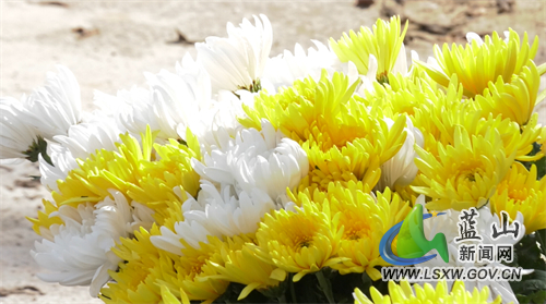 微信图片_20220404150907.jpg 微信图片_20220404150907.jpg